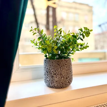 Tres Chic Apartment