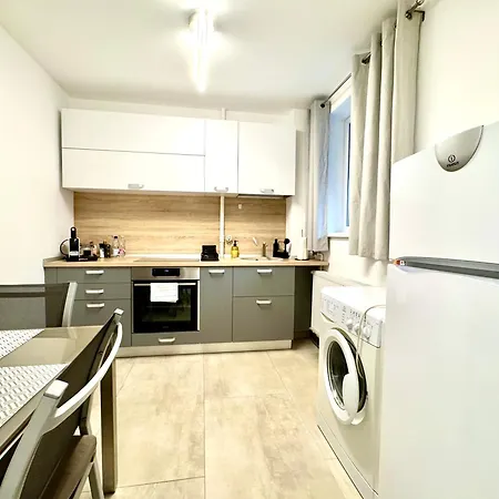 Tres Chic Apartment Timisoara
